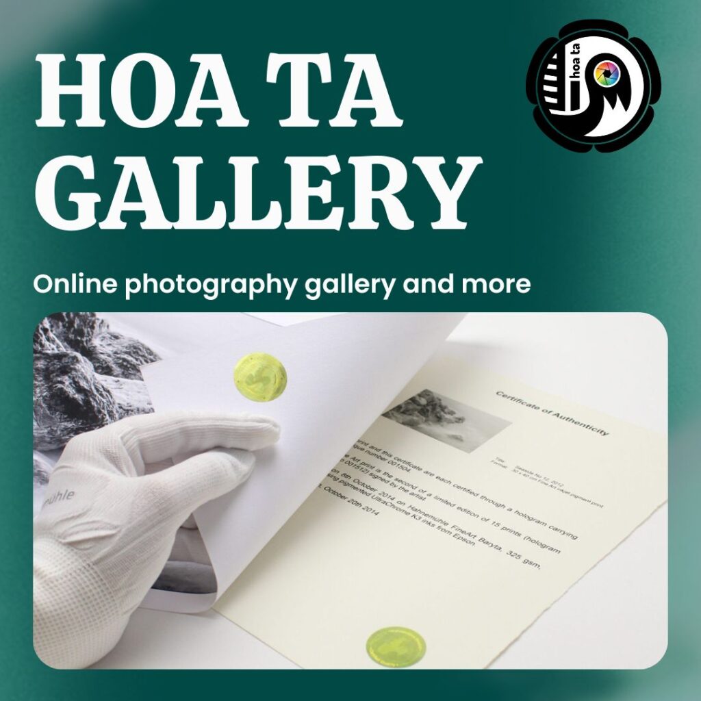 Hoa Ta gallery